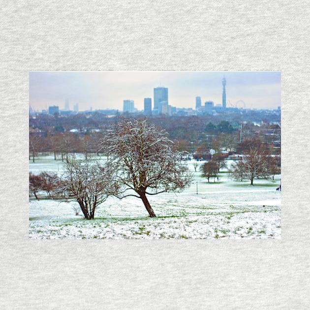 London Skyline Cityscape Primrose Hill by AndyEvansPhotos